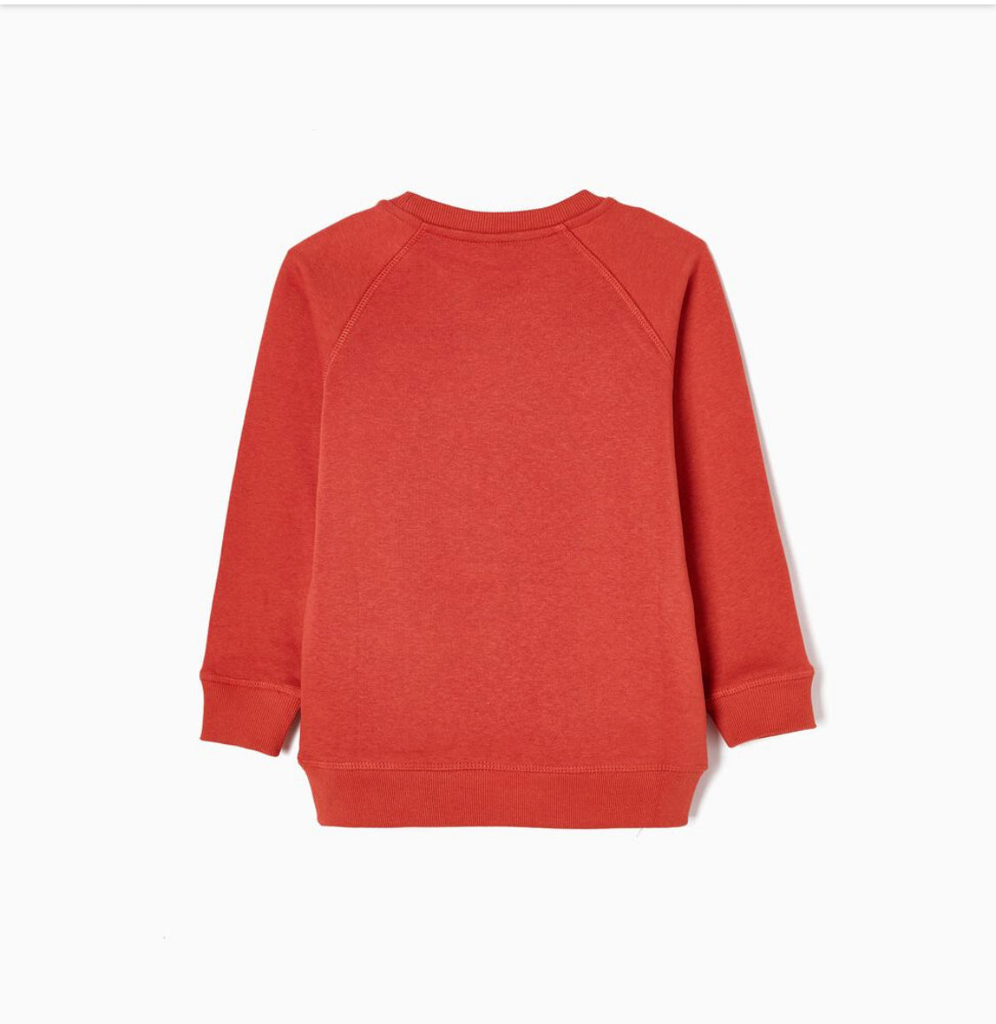 Sudadera Fresh verde Niño Zippy