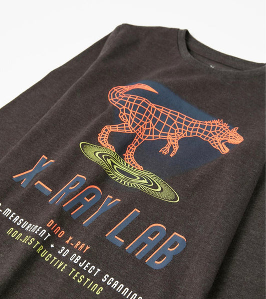 Camiseta Dinosaurios Niño Zippy