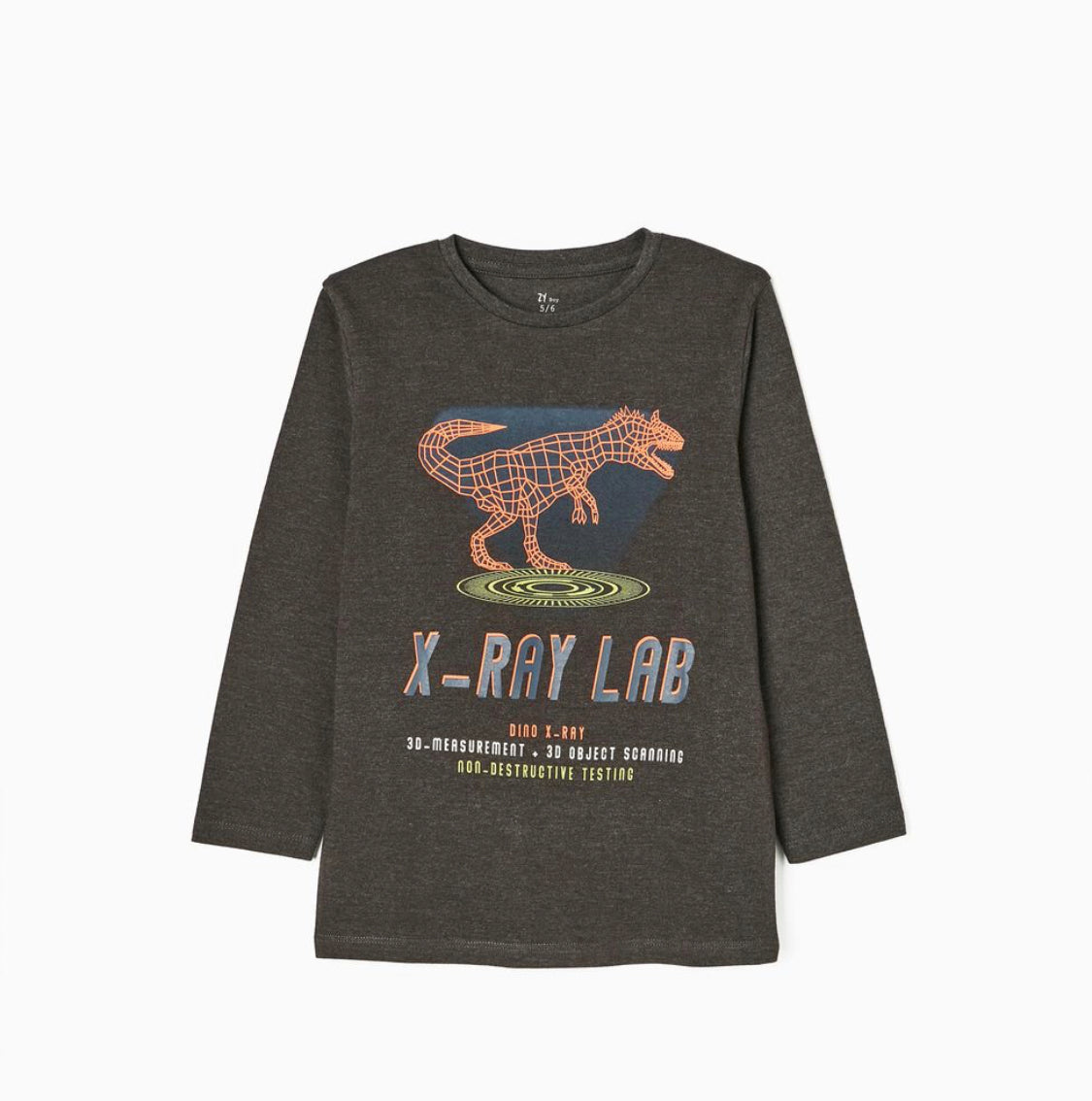 Camiseta Dinosaurios Niño Zippy